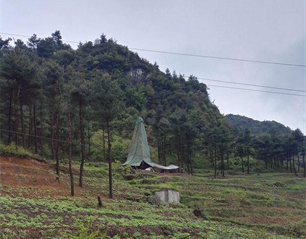 把脈“黔”鋅地，問(wèn)診開(kāi)良方