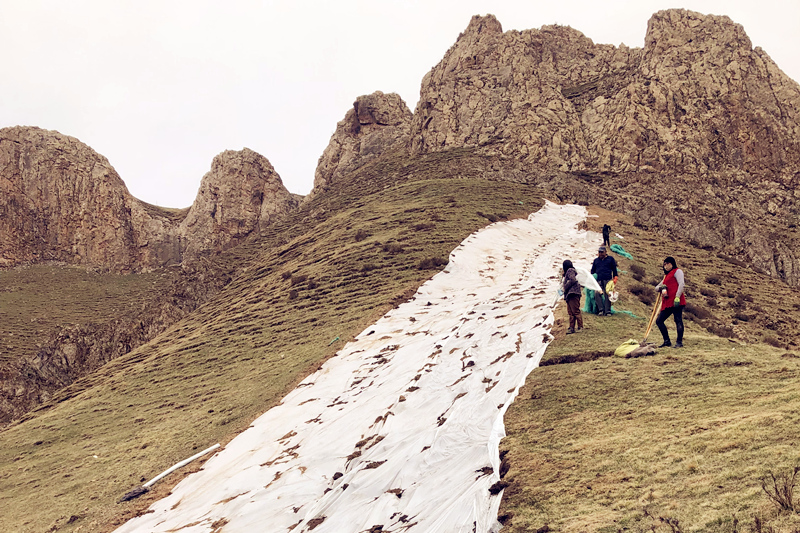 瑪溫根礦區探槽植被恢復工作圓滿(mǎn)完成