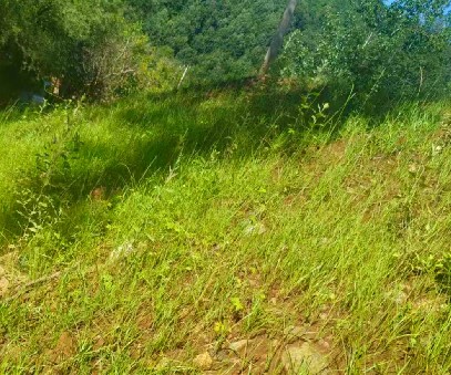 柳關(guān)欒盧鉛鋅礦|治理排土“瘡疤”，繪就綠色畫(huà)卷